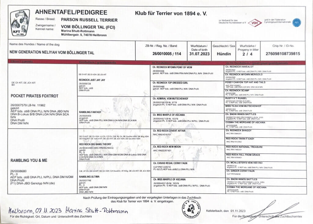 Ahnentafel Neliyah